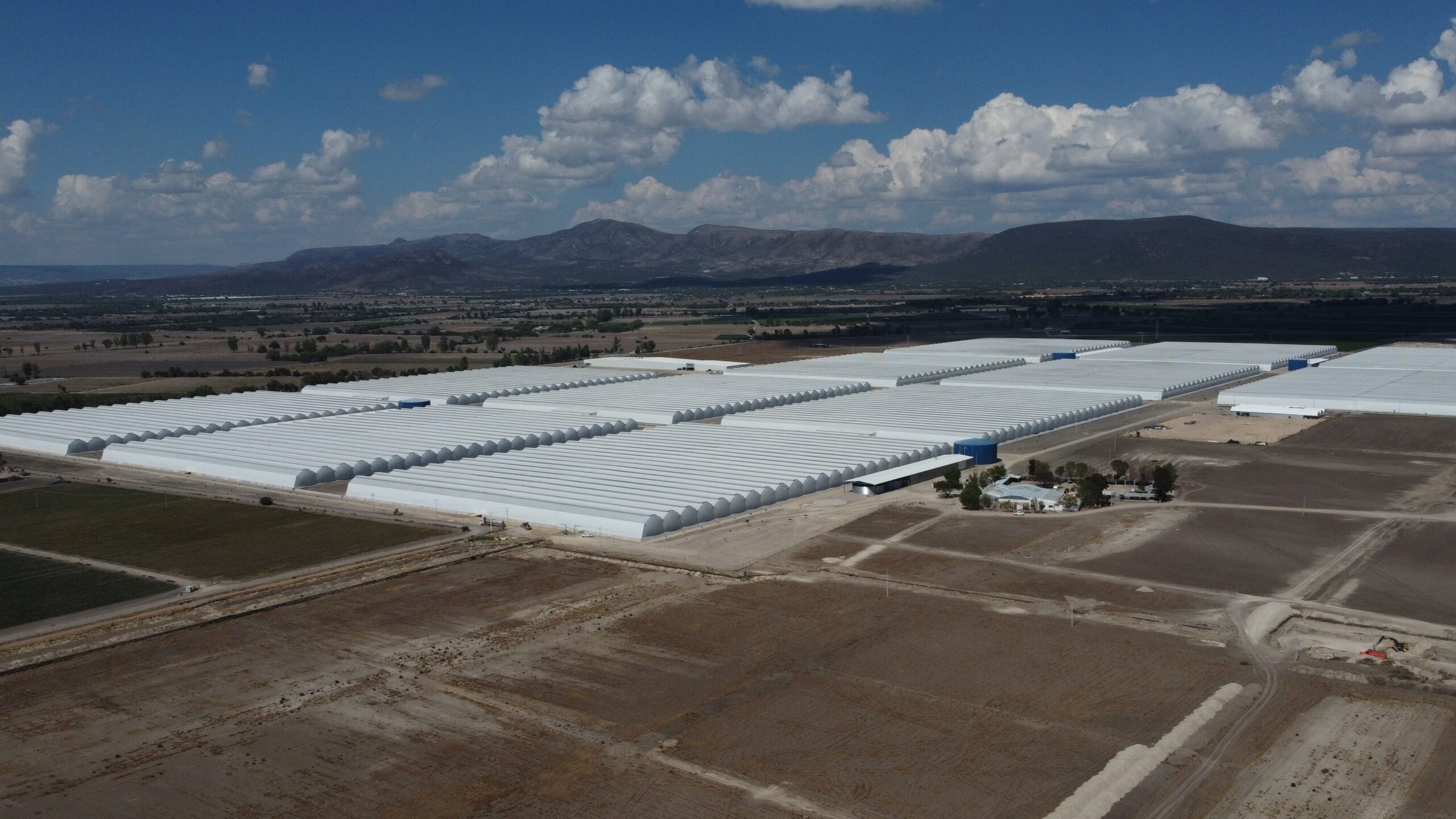 invernadero inverca|logo inverca jpg